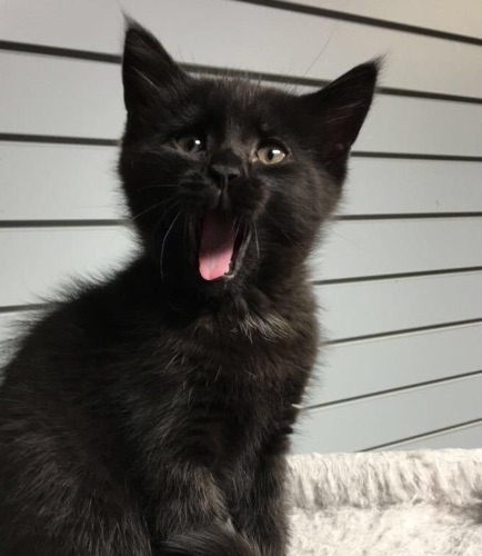 @kylieb13 - Musicboard