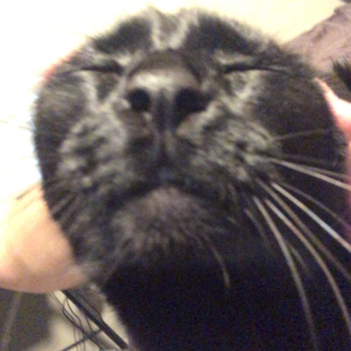 tony_two_times' Listen Later Musicboard